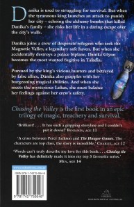 chasing the valley back cover
