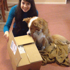 chasing the valley skye