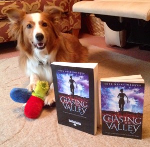 large print chasing the valley